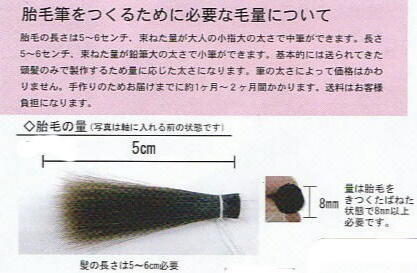 �Ԃ����̕M�@�ٖѕM�@�t�����s�@�w�A���]�[�g���B��